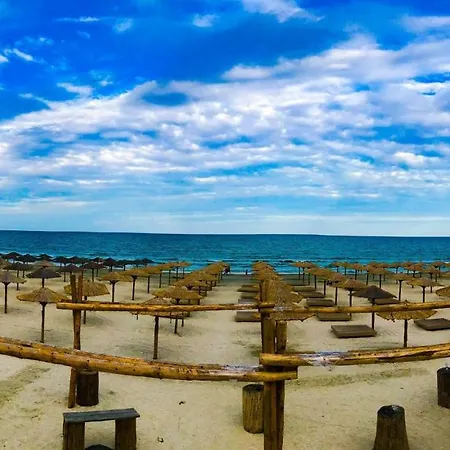 Flipflop Summerland Mamaia